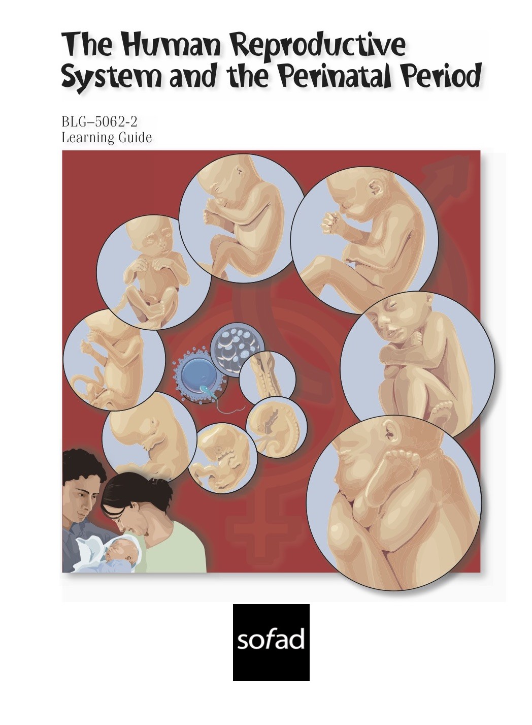 How long is the perinatal period 84 How long is the perinatal period 70