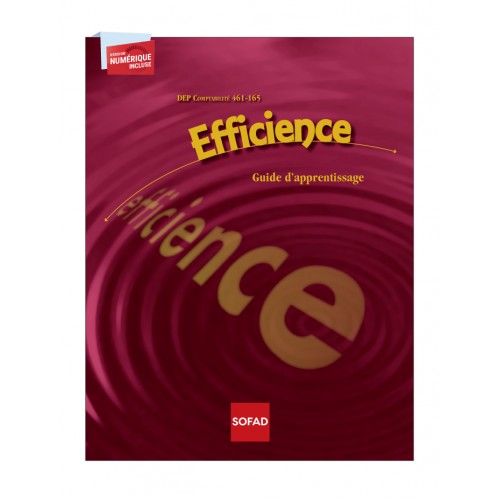 461-165 – Efficience